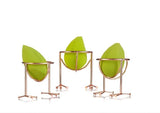 3 in 1 Skin Buffing Ball with stand