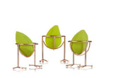 Skin Buffing Ball with Stand